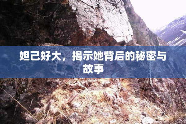 妲己好大，揭示她背后的秘密与故事