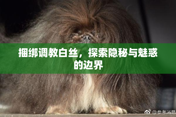 捆绑调教白丝，探索隐秘与魅惑的边界