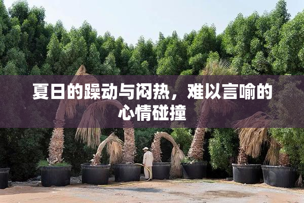 夏日的躁动与闷热，难以言喻的心情碰撞