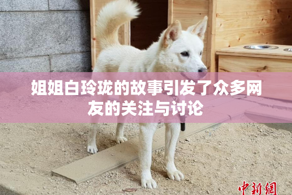 姐姐白玲珑的故事引发了众多网友的关注与讨论
