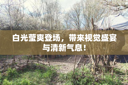 白光莹爽登场，带来视觉盛宴与清新气息！