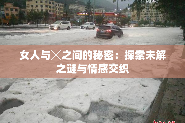 女人与╳之间的秘密：探索未解之谜与情感交织