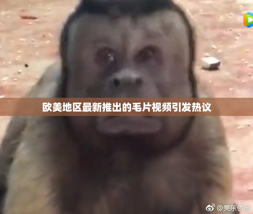 欧美地区最新推出的毛片视频引发热议