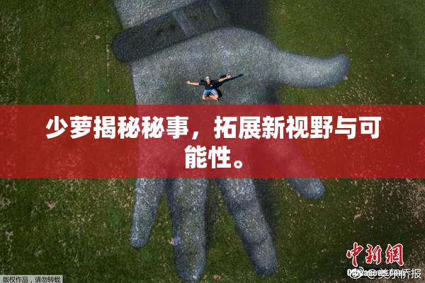 少萝揭秘秘事，拓展新视野与可能性。