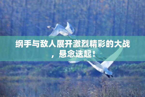 纲手与敌人展开激烈精彩的大战，悬念迭起！
