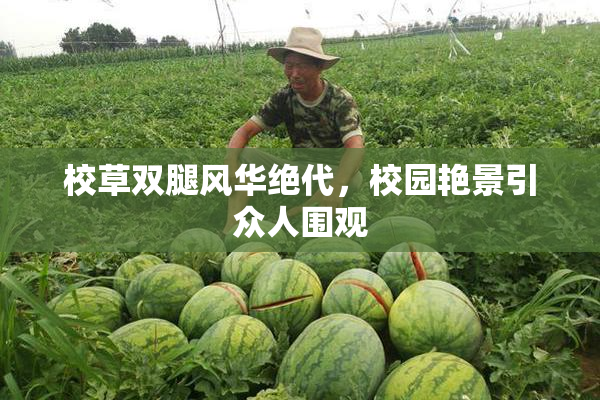 校草双腿风华绝代，校园艳景引众人围观