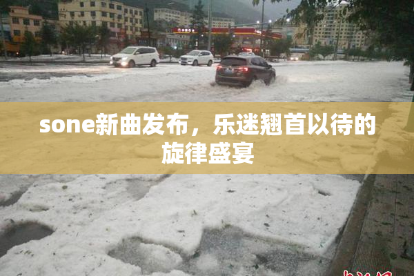 sone新曲发布，乐迷翘首以待的旋律盛宴