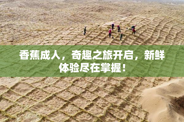 香蕉成人，奇趣之旅开启，新鲜体验尽在掌握！