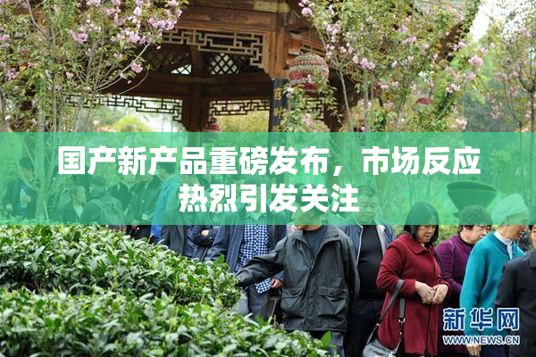 国产新产品重磅发布，市场反应热烈引发关注