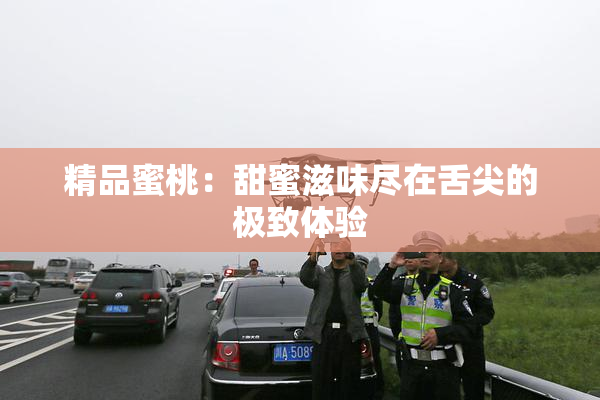 精品蜜桃：甜蜜滋味尽在舌尖的极致体验