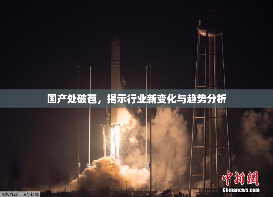 国产处破苞，揭示行业新变化与趋势分析