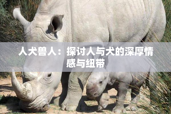 人犬兽人：探讨人与犬的深厚情感与纽带