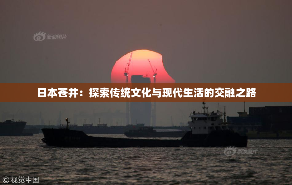 日本苍井：探索传统文化与现代生活的交融之路