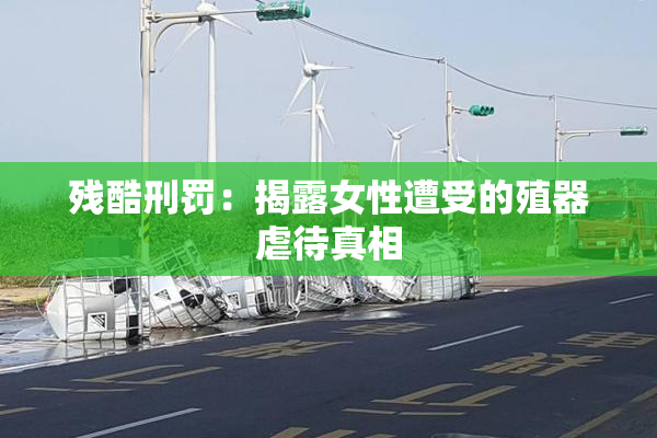 残酷刑罚：揭露女性遭受的殖器虐待真相