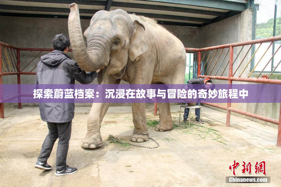 探索蔚蓝档案：沉浸在故事与冒险的奇妙旅程中