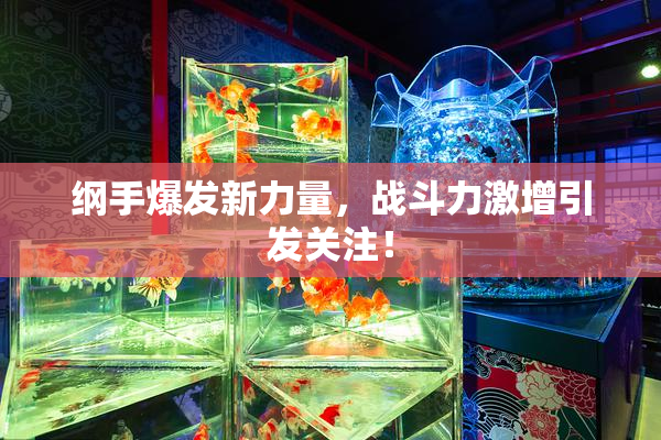 纲手爆发新力量，战斗力激增引发关注！