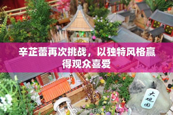 辛芷蕾再次挑战，以独特风格赢得观众喜爱