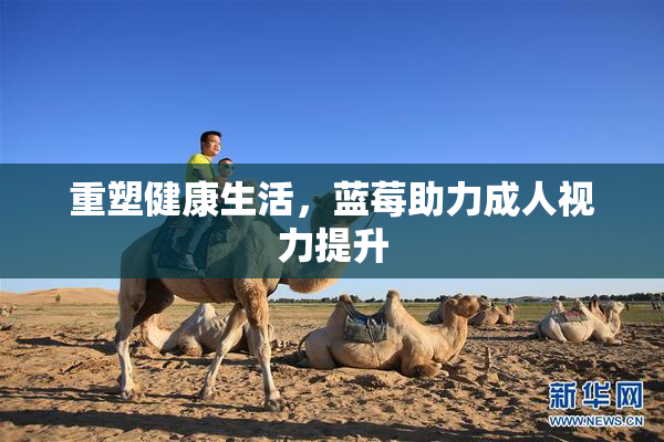 重塑健康生活，蓝莓助力成人视力提升