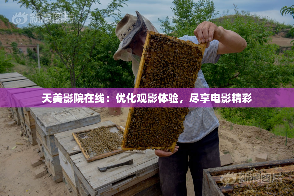 天美影院在线：优化观影体验，尽享电影精彩