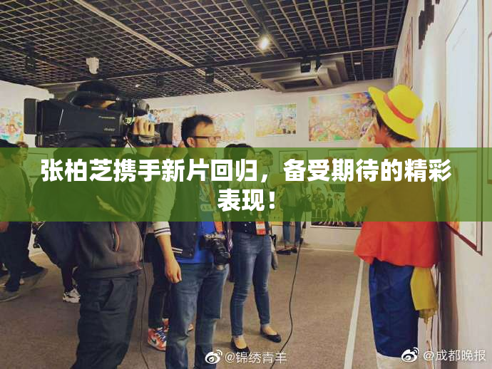 张柏芝携手新片回归，备受期待的精彩表现！