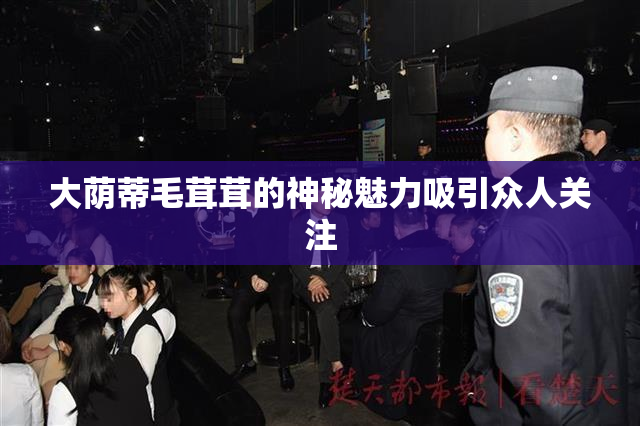 大荫蒂毛茸茸的神秘魅力吸引众人关注