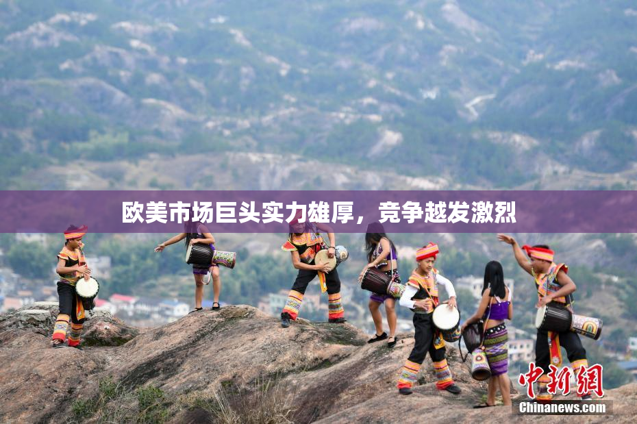 欧美市场巨头实力雄厚，竞争越发激烈
