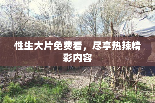 性生大片免费看，尽享热辣精彩内容