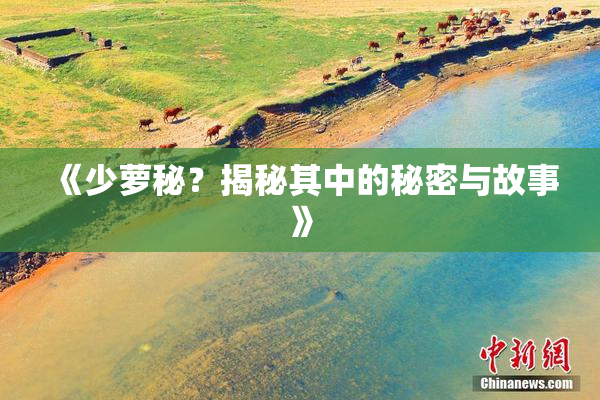 《少萝秘？揭秘其中的秘密与故事》