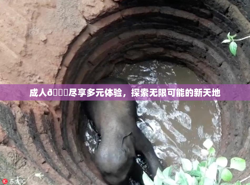 成人🔞尽享多元体验，探索无限可能的新天地