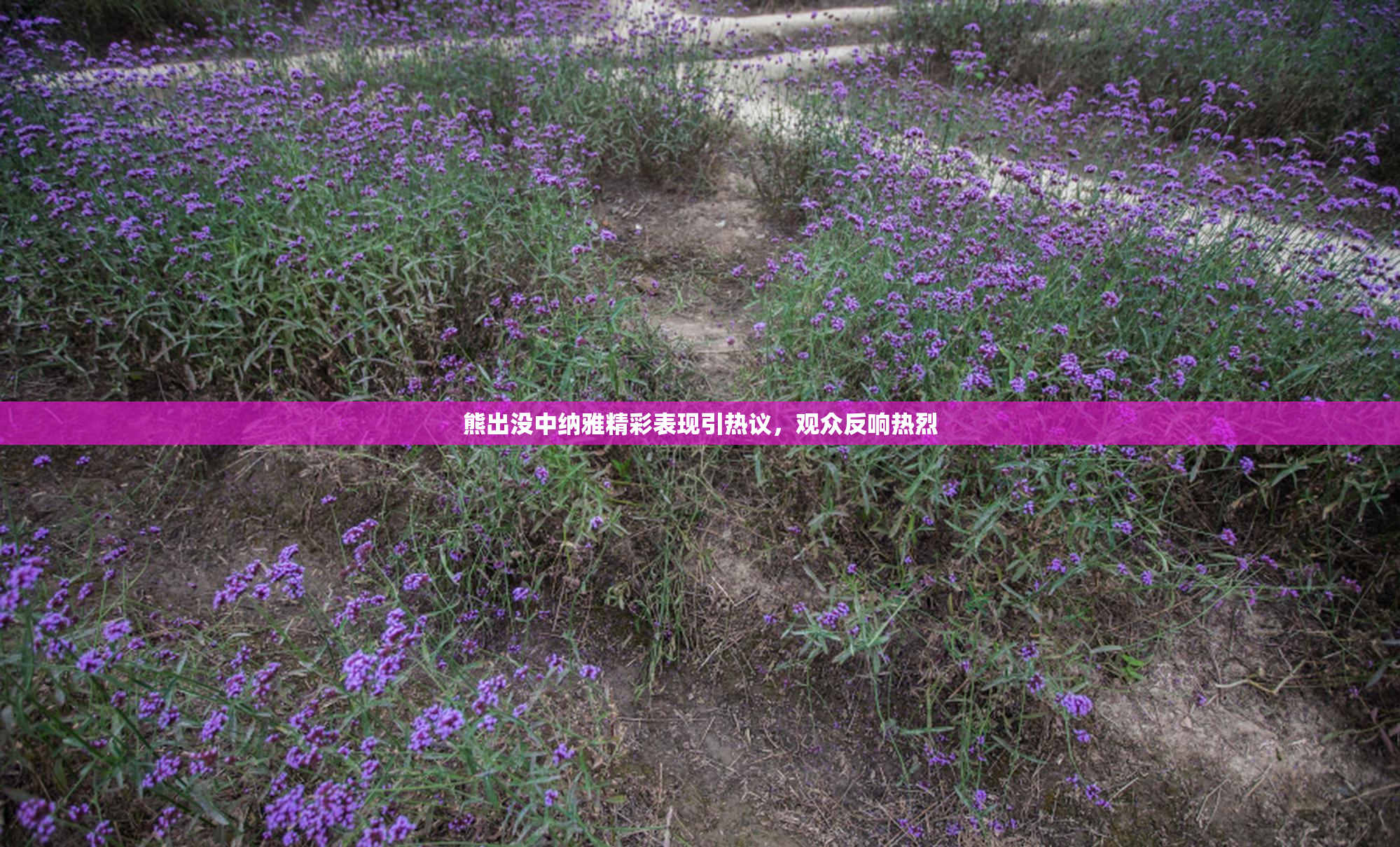 熊出没中纳雅精彩表现引热议，观众反响热烈