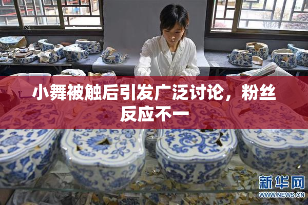 小舞被触后引发广泛讨论，粉丝反应不一
