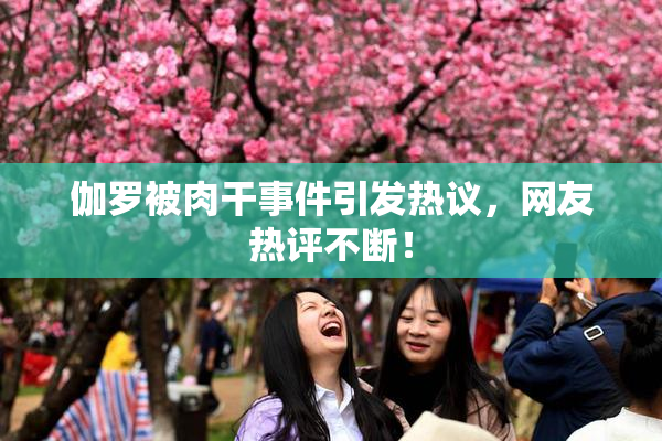 伽罗被肉干事件引发热议，网友热评不断！