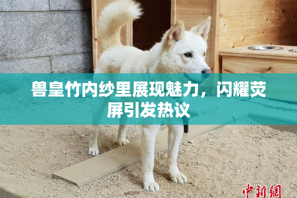 兽皇竹内纱里展现魅力，闪耀荧屏引发热议