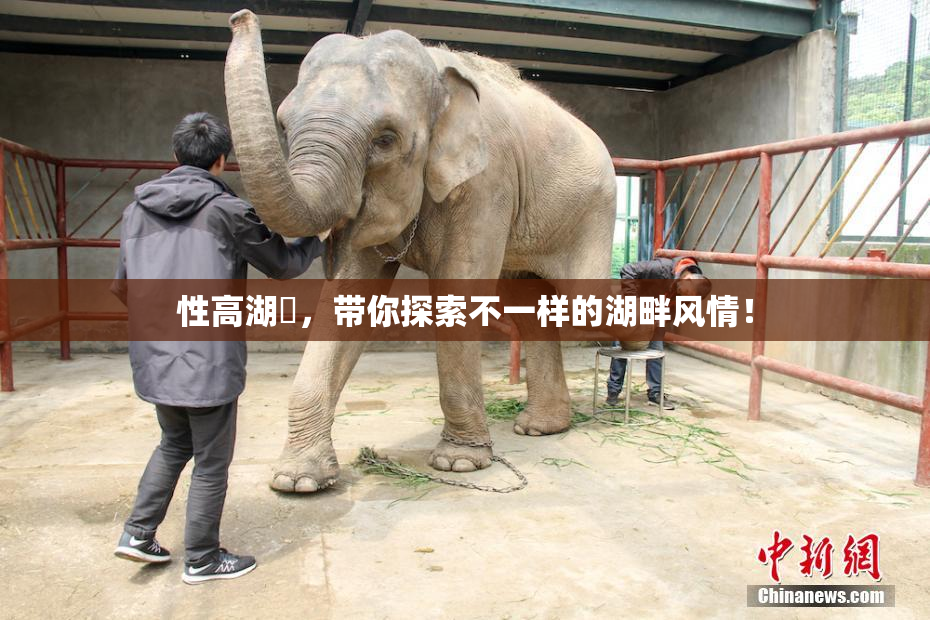 性高湖婬，带你探索不一样的湖畔风情！