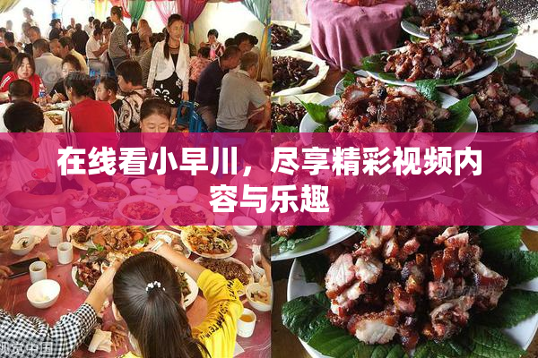 在线看小早川，尽享精彩视频内容与乐趣