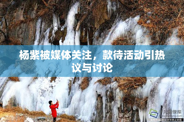 杨紫被媒体关注，款待活动引热议与讨论