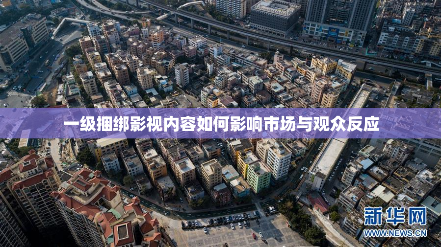 一级捆绑影视内容如何影响市场与观众反应