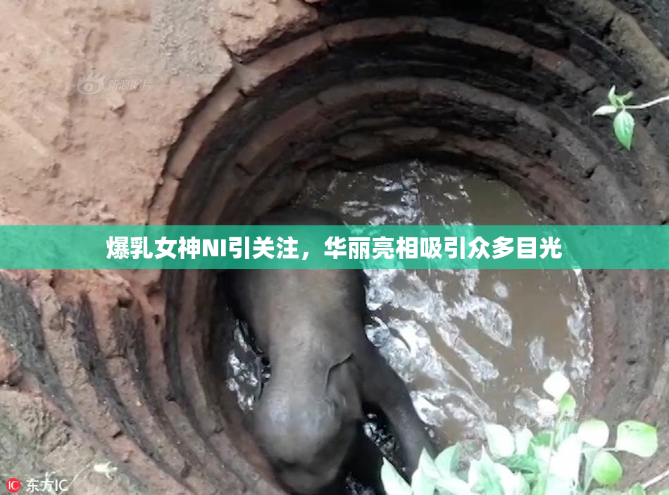爆乳女神NI引关注，华丽亮相吸引众多目光