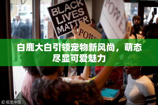 白鹿大白引领宠物新风尚，萌态尽显可爱魅力