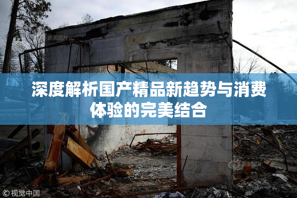 深度解析国产精品新趋势与消费体验的完美结合