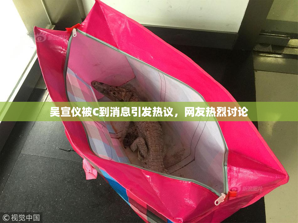 吴宣仪被C到消息引发热议，网友热烈讨论