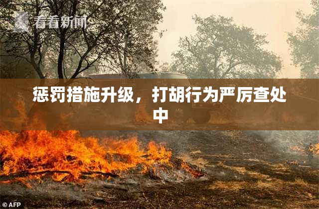 惩罚措施升级，打胡行为严厉查处中