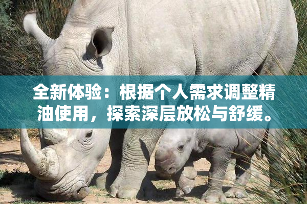 全新体验：根据个人需求调整精油使用，探索深层放松与舒缓。