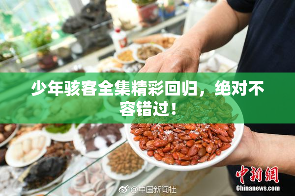 少年骇客全集精彩回归，绝对不容错过！