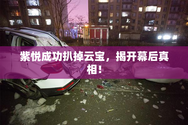 紫悦成功扒掉云宝，揭开幕后真相！