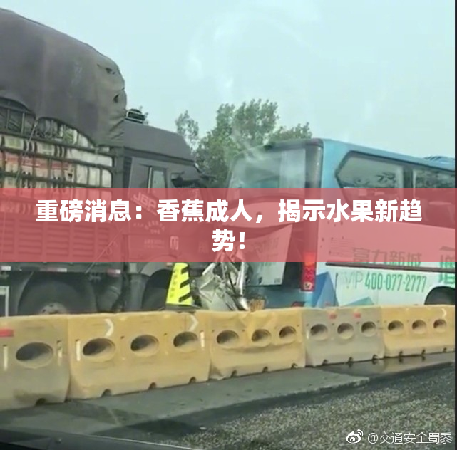 重磅消息：香蕉成人，揭示水果新趋势！