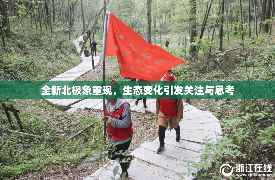全新北极象重现，生态变化引发关注与思考
