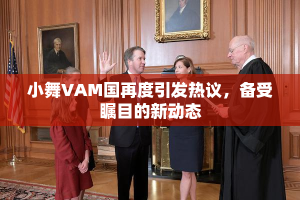 小舞VAM国再度引发热议，备受瞩目的新动态