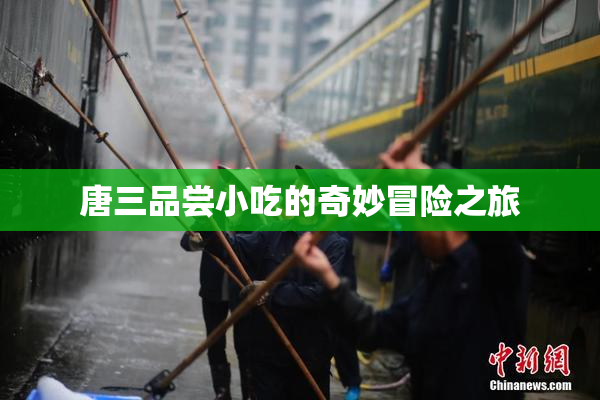 唐三品尝小吃的奇妙冒险之旅
