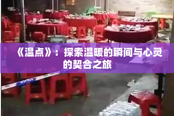 《温点》：探索温暖的瞬间与心灵的契合之旅